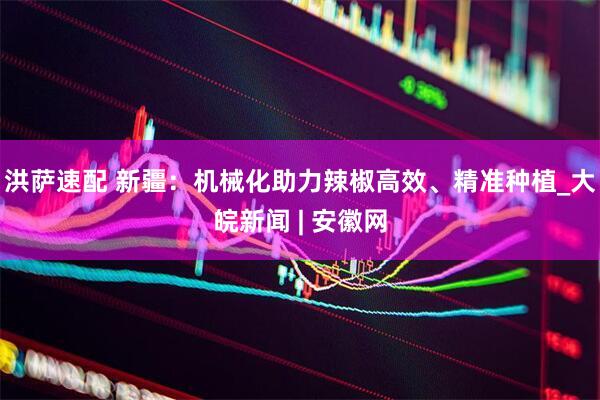 洪萨速配 新疆：机械化助力辣椒高效、精准种植_大皖新闻 | 安徽网