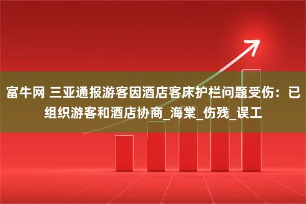 富牛网 三亚通报游客因酒店客床护栏问题受伤：已组织游客和酒店协商_海棠_伤残_误工