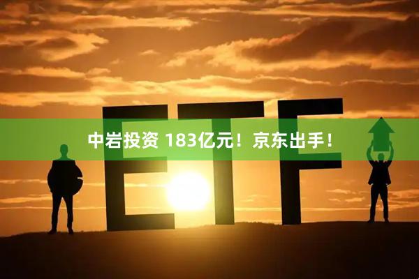 中岩投资 183亿元！京东出手！