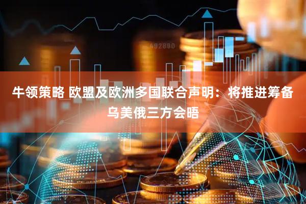 牛领策略 欧盟及欧洲多国联合声明：将推进筹备乌美俄三方会晤