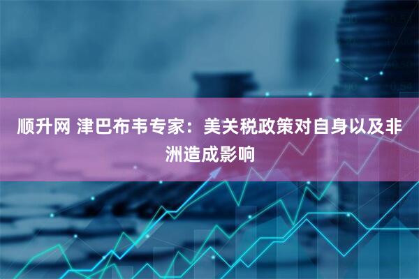 顺升网 津巴布韦专家：美关税政策对自身以及非洲造成影响