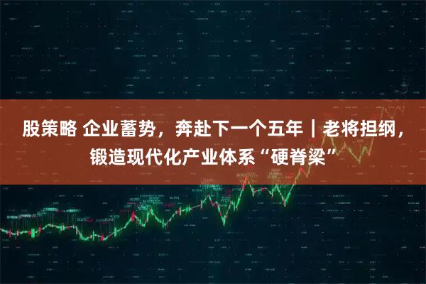股策略 企业蓄势，奔赴下一个五年｜老将担纲，锻造现代化产业体系“硬脊梁”