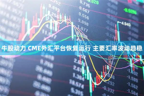 牛股动力 CME外汇平台恢复运行 主要汇率波动趋稳