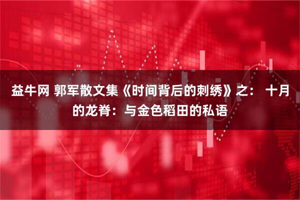 益牛网 郭军散文集《时间背后的刺绣》之： 十月的龙脊：与金色稻田的私语