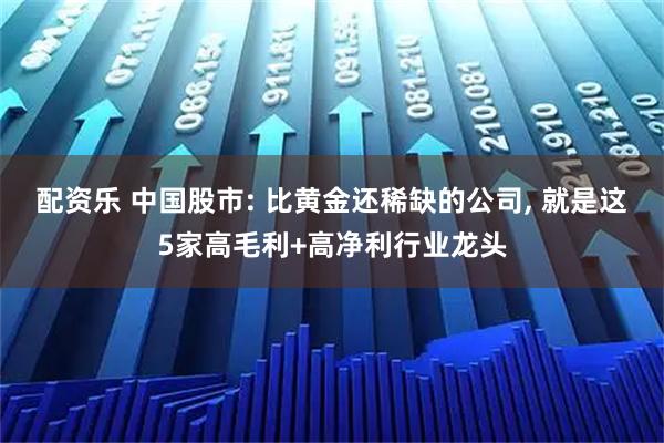 配资乐 中国股市: 比黄金还稀缺的公司, 就是这5家高毛利+高净利行业龙头