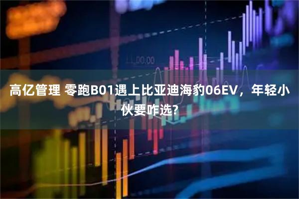 高亿管理 零跑B01遇上比亚迪海豹06EV，年轻小伙要咋选?