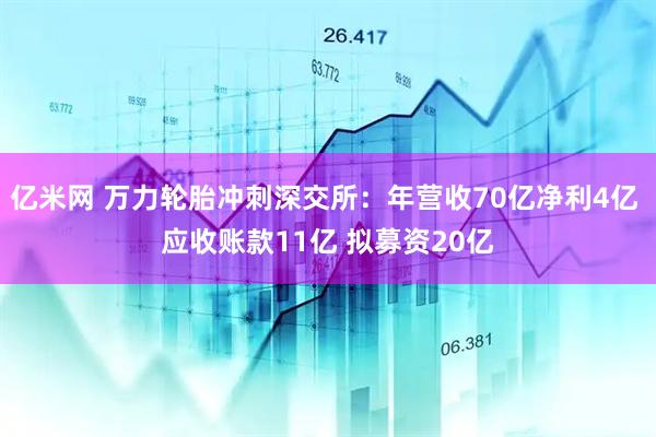 亿米网 万力轮胎冲刺深交所：年营收70亿净利4亿 应收账款11亿 拟募资20亿